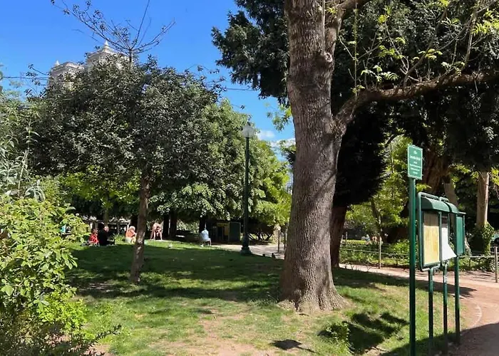 Charming Near Notre Dame Fdl